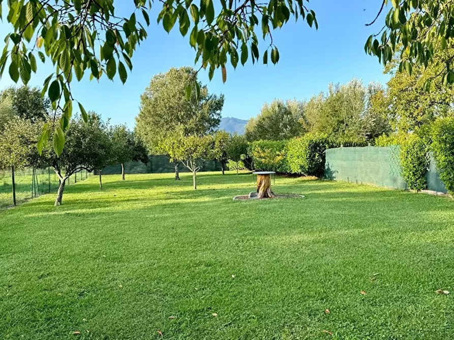 Immagine 51 di Villa in vendita  a Capannori