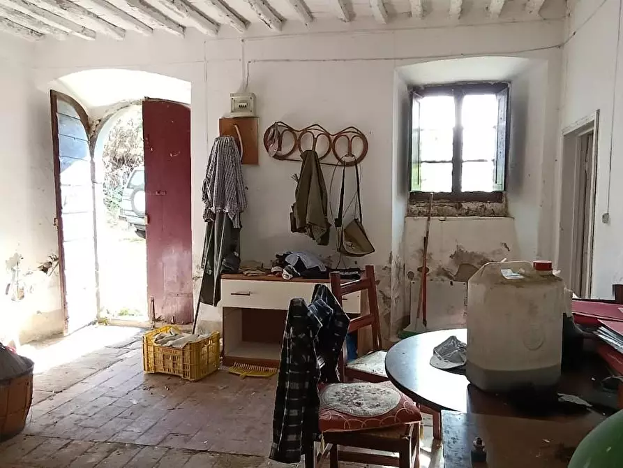 Immagine 10 di Casa colonica in vendita  a Vinci