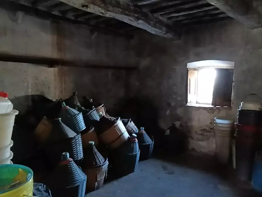 Immagine 11 di Casa colonica in vendita  a Vinci