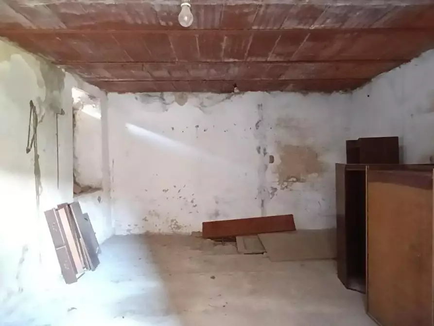 Immagine 3 di Casa colonica in vendita  a Vinci