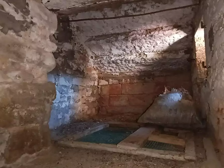 Immagine 6 di Casa colonica in vendita  a Vinci