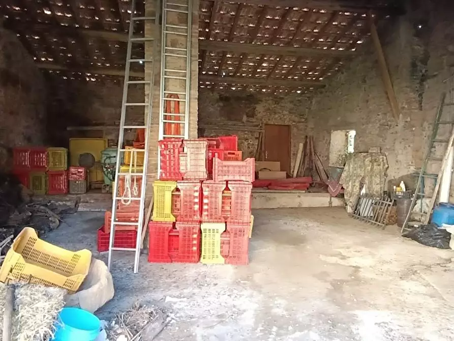 Immagine 29 di Casa colonica in vendita  a Vinci