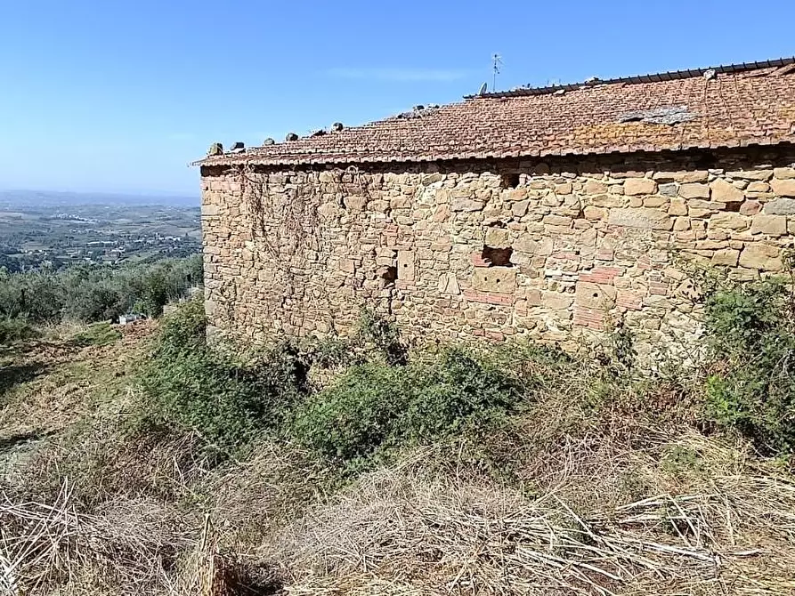 Immagine 31 di Casa colonica in vendita  a Vinci