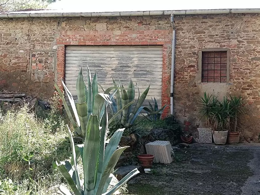 Immagine 28 di Casa colonica in vendita  a Vinci