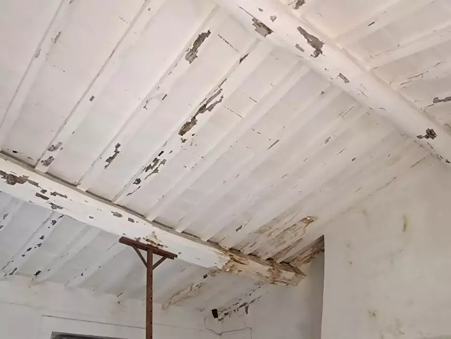 Immagine 24 di Casa colonica in vendita  a Vinci