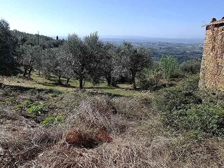 Immagine 33 di Casa colonica in vendita  a Vinci