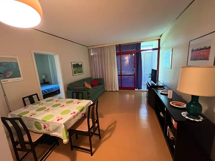 Immagine 11 di Appartamento in vendita  a Bibbona