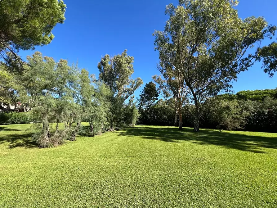 Immagine 2 di Appartamento in vendita  a Bibbona