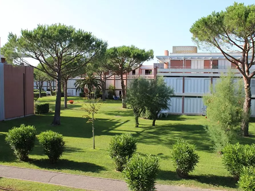 Immagine 18 di Appartamento in vendita  a Bibbona