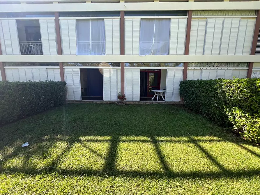 Immagine 1 di Appartamento in vendita  a Bibbona