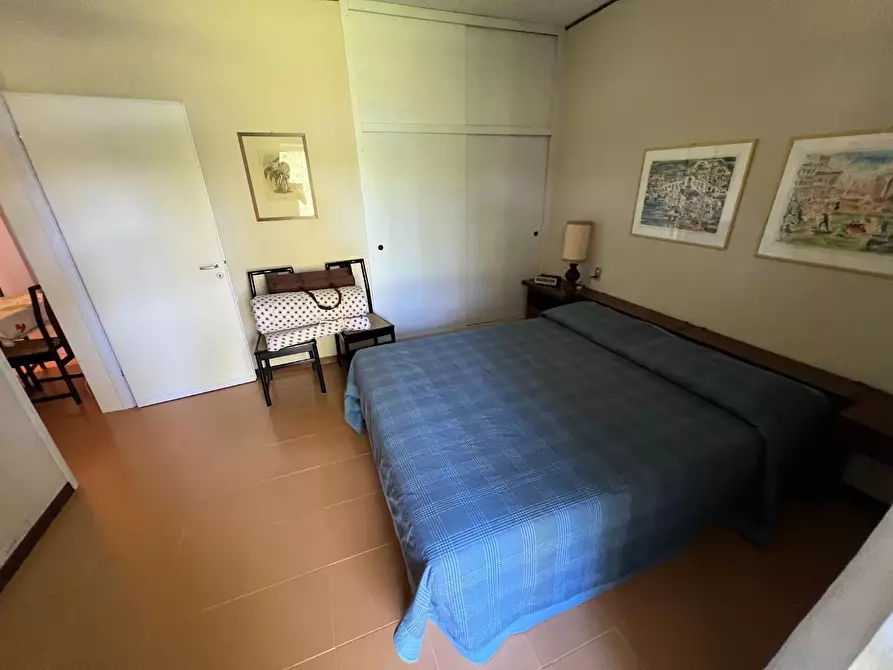 Immagine 13 di Appartamento in vendita  a Bibbona