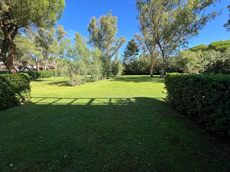 Immagine 6 di Appartamento in vendita  a Bibbona