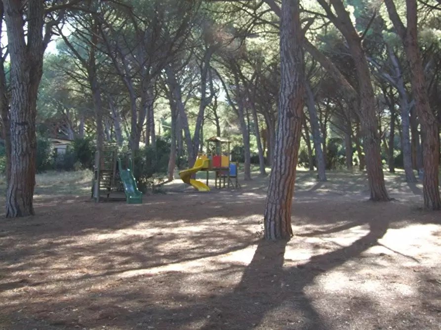 Immagine 26 di Appartamento in vendita  a Bibbona