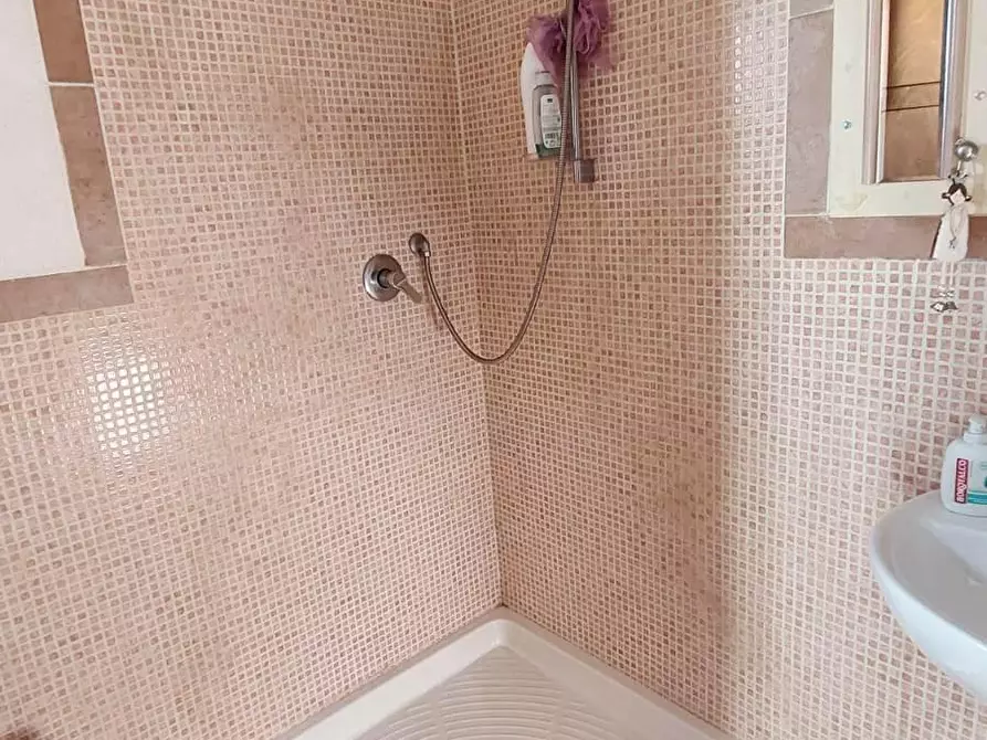 Immagine 21 di Appartamento in vendita  a Vicopisano