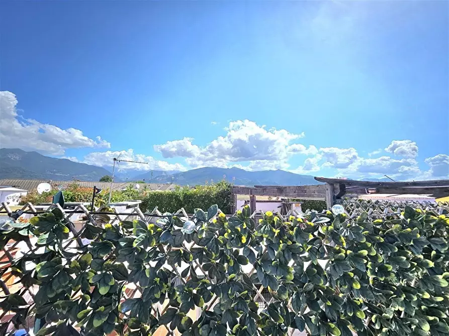 Immagine 21 di Appartamento in vendita  a Massa