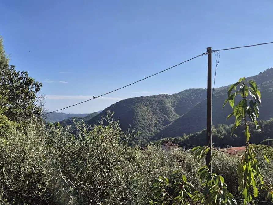 Immagine 99 di Terratetto in vendita  a Pescaglia