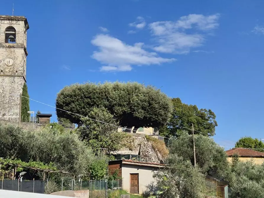 Immagine 94 di Terratetto in vendita  a Pescaglia