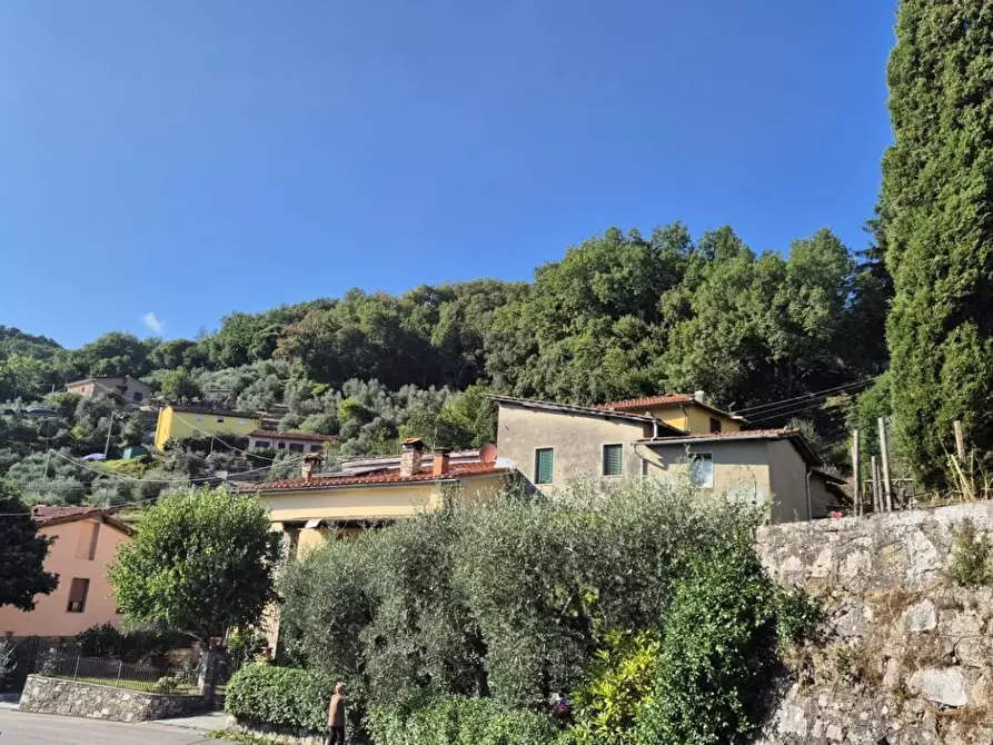 Immagine 97 di Terratetto in vendita  a Pescaglia