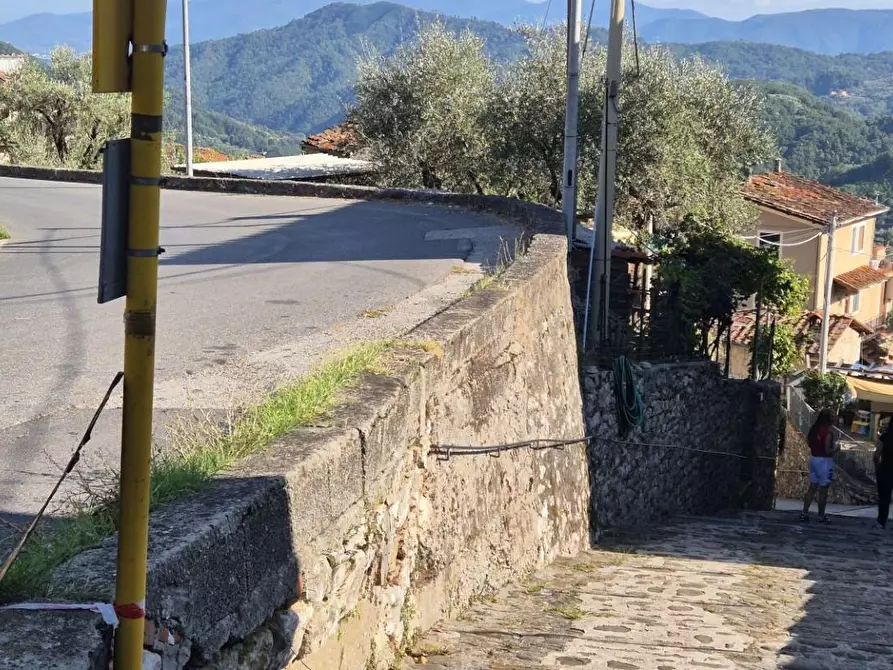 Immagine 85 di Terratetto in vendita  a Pescaglia