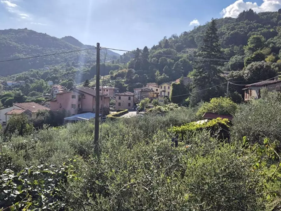 Immagine 98 di Terratetto in vendita  a Pescaglia