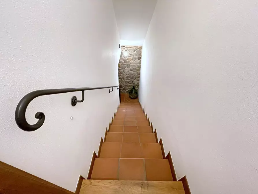 Immagine 20 di Casa trifamiliare in vendita  a Camaiore