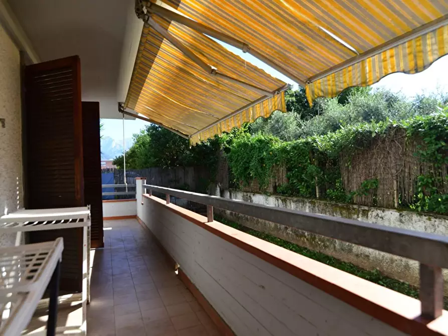 Immagine 6 di Appartamento in vendita  a Massa