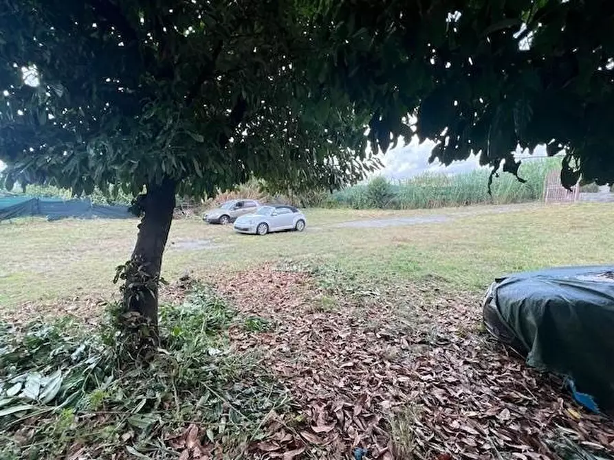 Immagine 3 di Laboratorio in vendita  a Massa