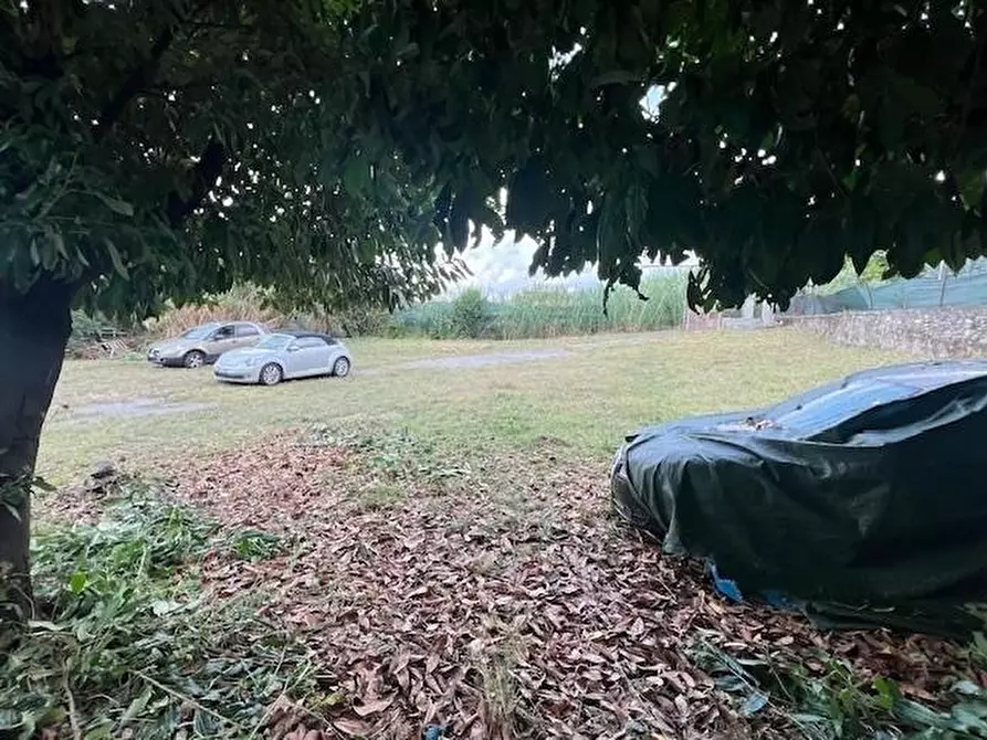 Immagine 4 di Laboratorio in vendita  a Massa