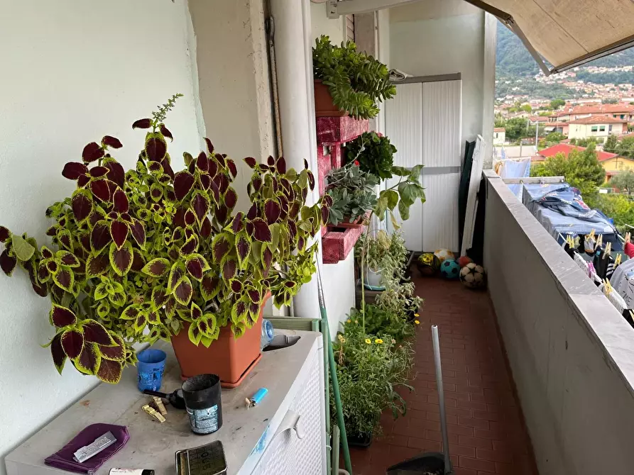 Immagine 5 di Appartamento in vendita  a Massa