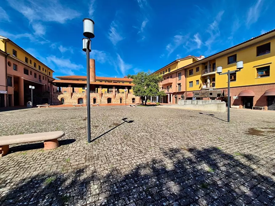 Immagine 2 di Villa in vendita  a Pisa