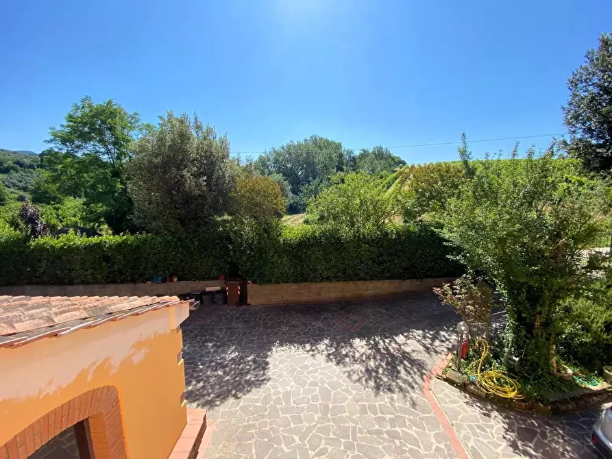 Immagine 10 di Casa colonica in vendita  a Vinci