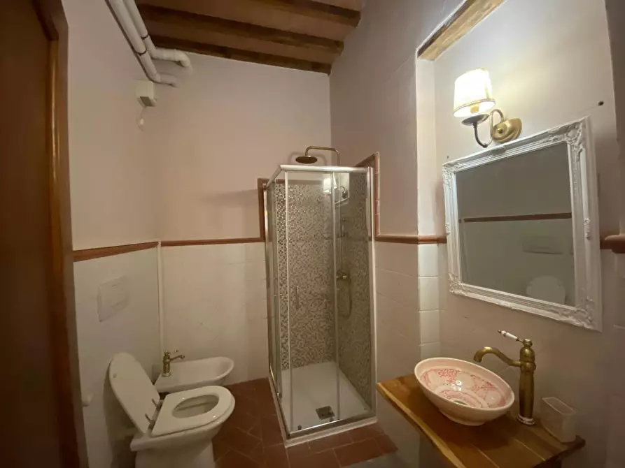 Immagine 10 di Appartamento in vendita  a Palaia