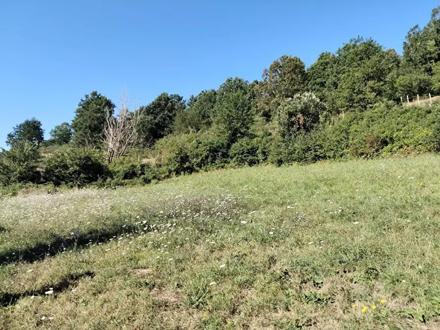 Immagine 27 di Rustico / casale in vendita  a Varese Ligure