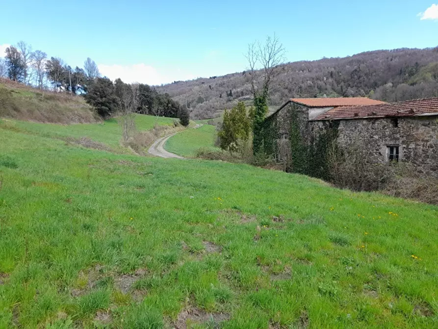 Immagine 18 di Rustico / casale in vendita  a Varese Ligure