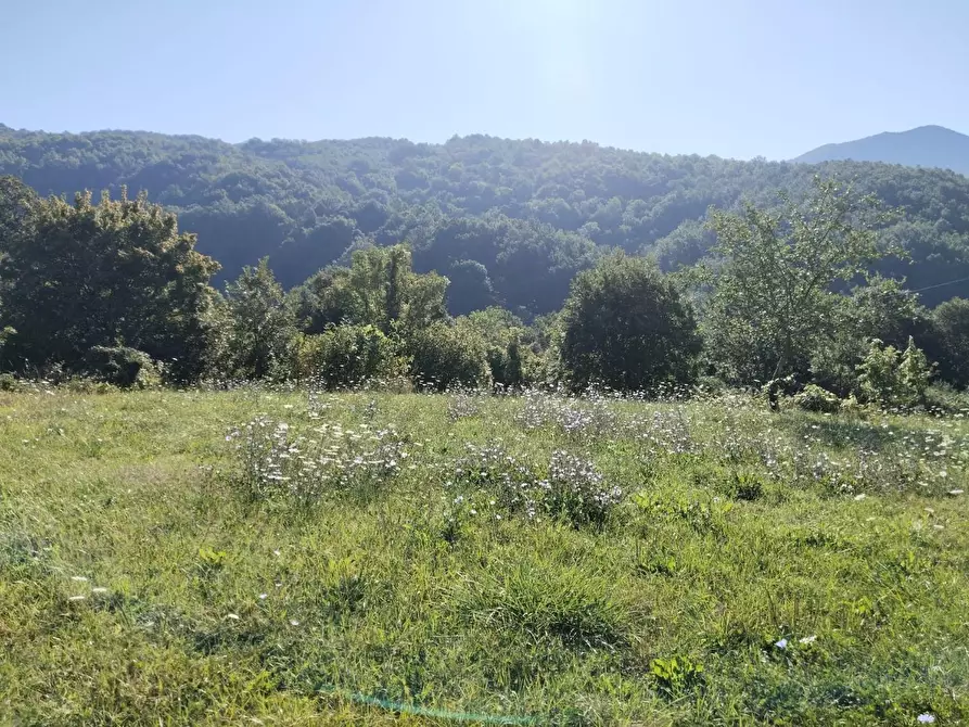 Immagine 44 di Rustico / casale in vendita  a Varese Ligure