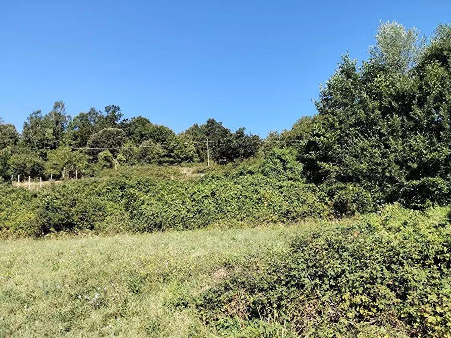 Immagine 45 di Rustico / casale in vendita  a Varese Ligure