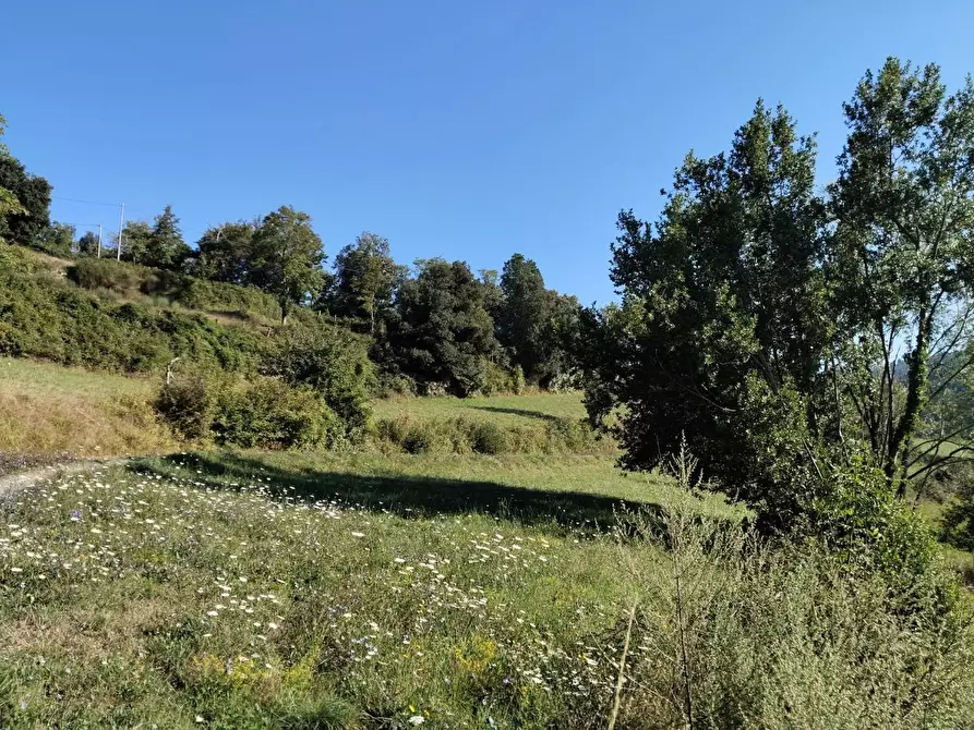 Immagine 42 di Rustico / casale in vendita  a Varese Ligure