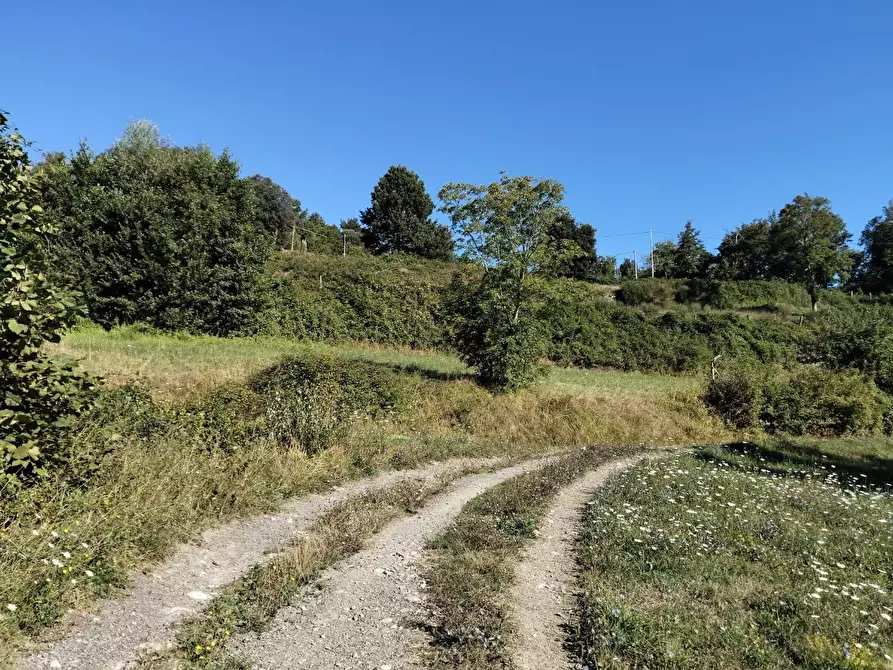 Immagine 25 di Rustico / casale in vendita  a Varese Ligure