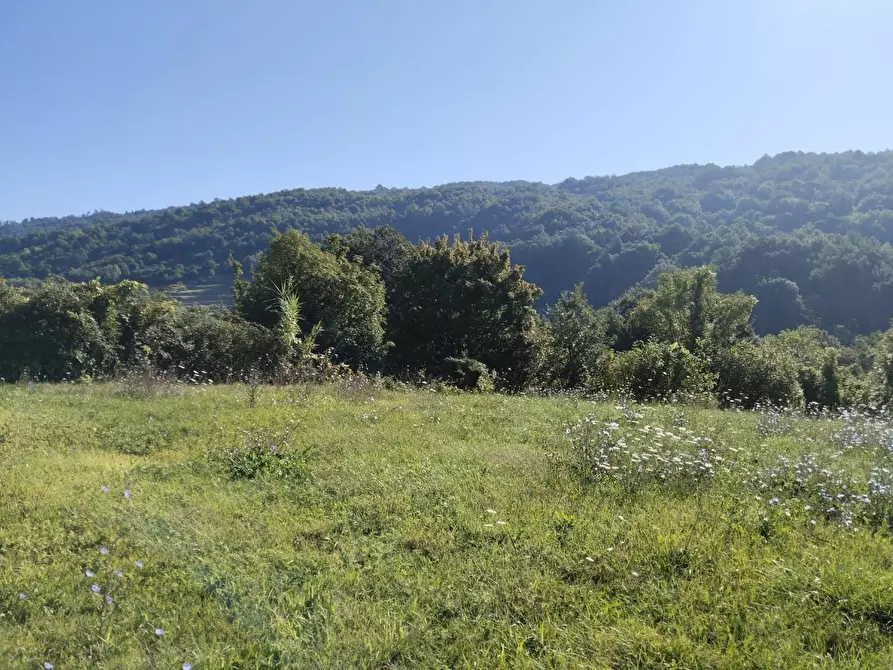 Immagine 31 di Rustico / casale in vendita  a Varese Ligure