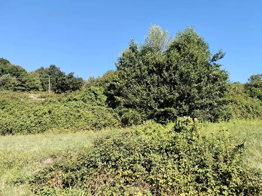 Immagine 36 di Rustico / casale in vendita  a Varese Ligure