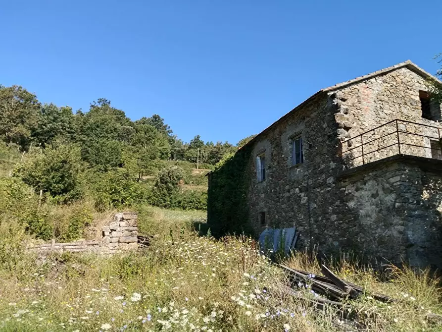Immagine 17 di Rustico / casale in vendita  a Varese Ligure