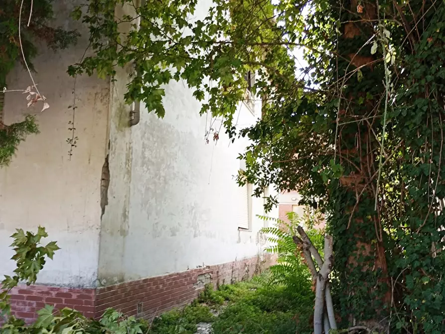 Immagine 4 di Casa indipendente in vendita  a San Miniato