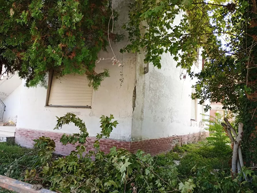 Immagine 8 di Casa indipendente in vendita  a San Miniato