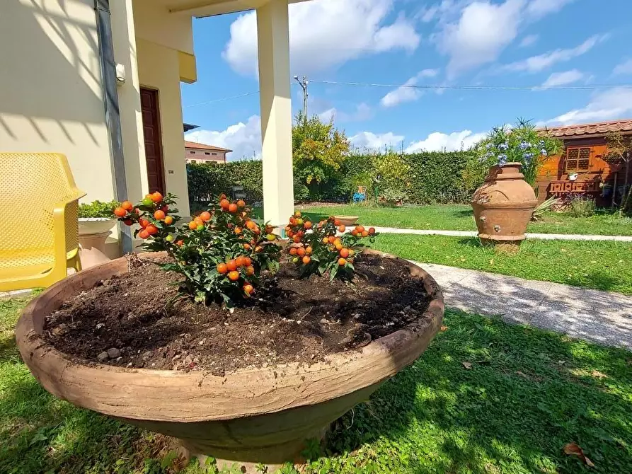 Immagine 1 di Casa bifamiliare in vendita  a Lucca