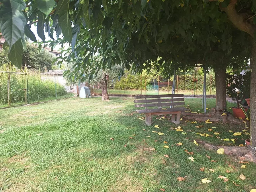 Immagine 36 di Terratetto in vendita  a Capannori