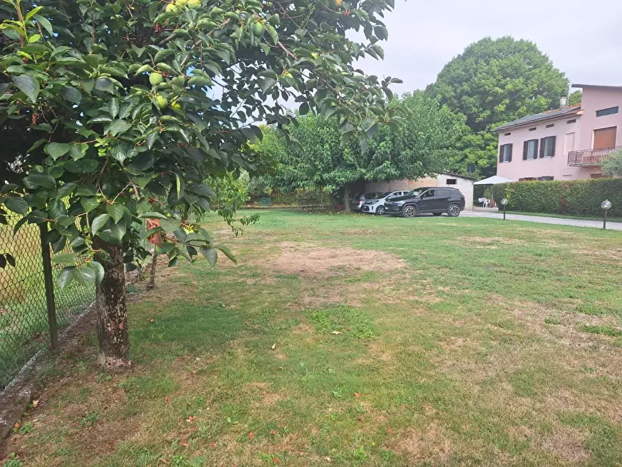 Immagine 1 di Terratetto in vendita  a Capannori