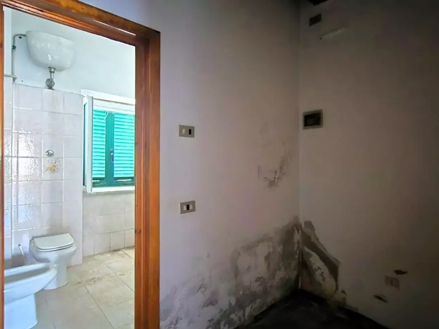 Immagine 10 di Terratetto in vendita  a Capannori