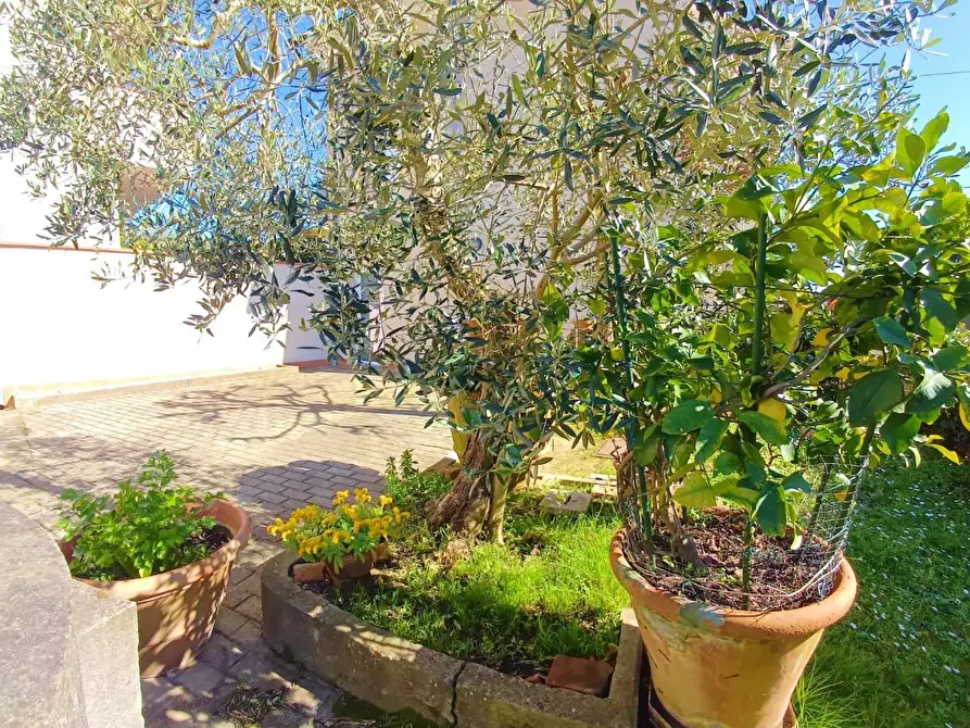 Immagine 7 di Casa indipendente in vendita  a Santa Maria A Monte