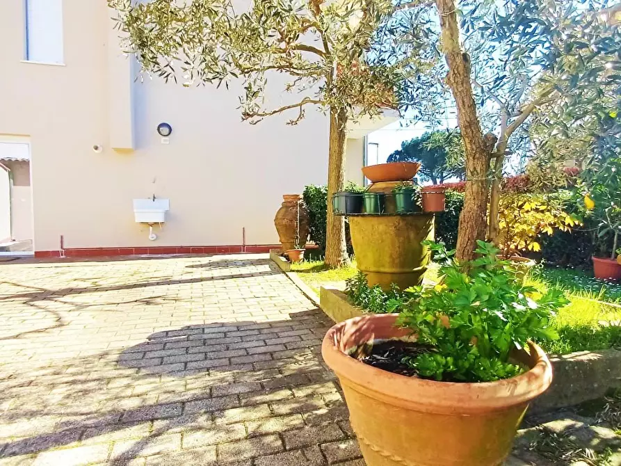 Immagine 9 di Casa indipendente in vendita  a Santa Maria A Monte