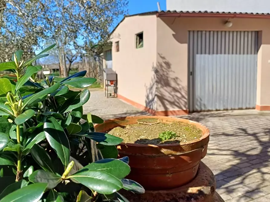 Immagine 5 di Casa indipendente in vendita  a Santa Maria A Monte